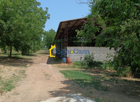 IN VENDITA A CIVITA CASTELLANA